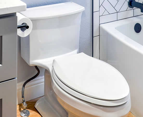 Toilet Installation and Repairs